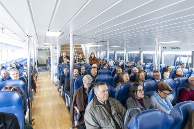 otoci nesologija (9)