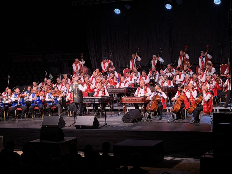 100 violina
