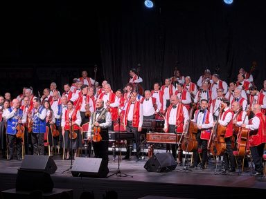 100 violina