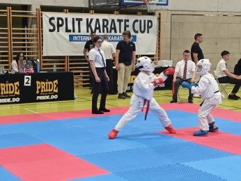 KK Optimist borba