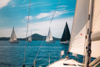 regata liones