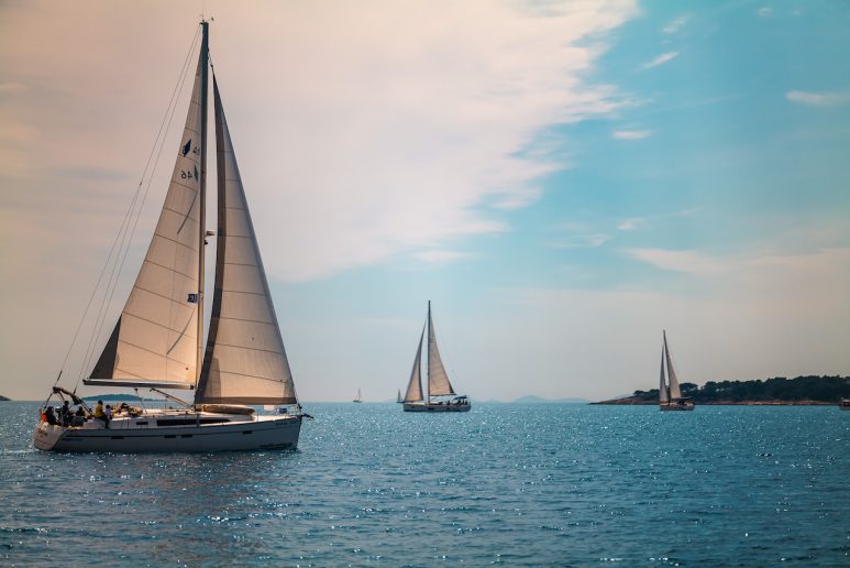 regata liones