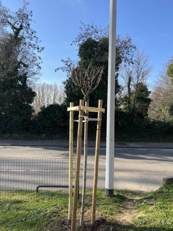 zeleni val