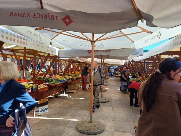 pijaca poluotok mvlakic
