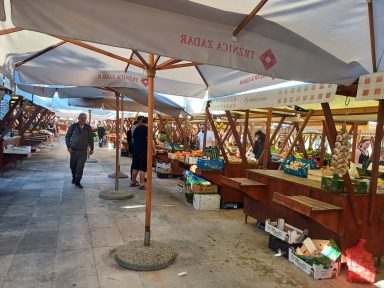 pijaca poluotok mvlakic