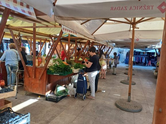 pijaca poluotok mvlakic