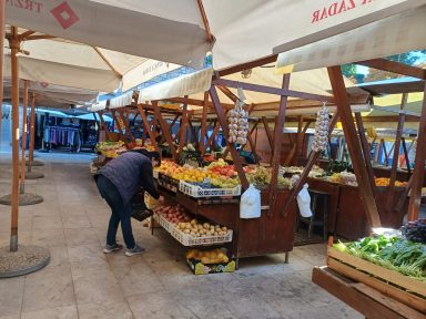 pijaca poluotok mvlakic